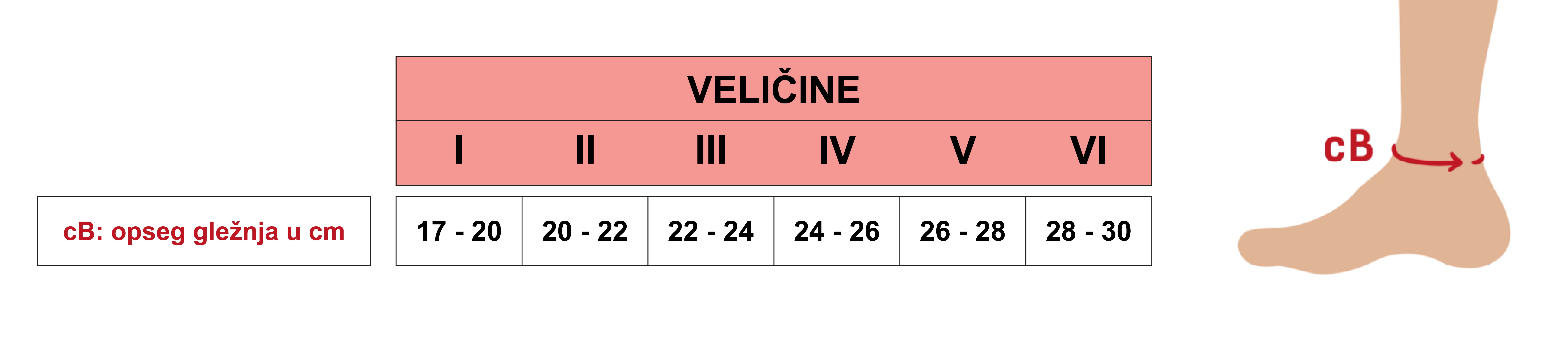 tablica velicina steznik za gležanj 501 15